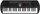 Casio SA-81