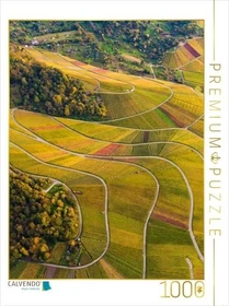 Calvendo Weinberge zwischen Kappelberg und Rotenberg