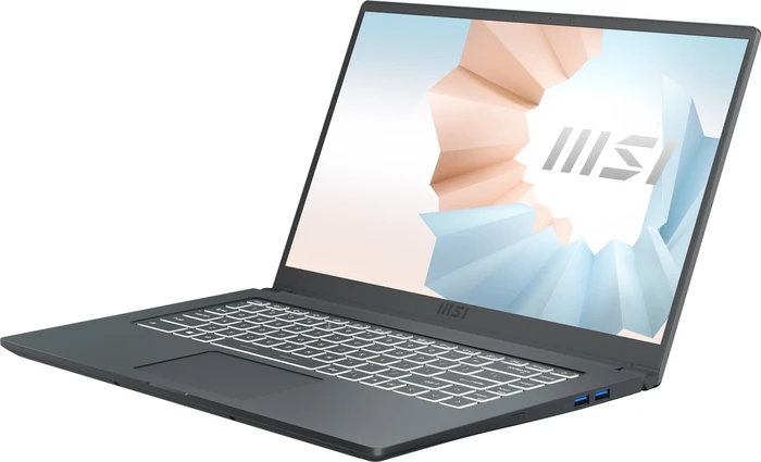 MSI Modern 15 A11M-893, Carbon Gray, Core i5-1155G7, 16GB RAM, 512GB SSD, DE
