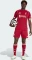 adidas Liverpool FC 2025/2026 Heimshorts (Herren) Vorschaubild