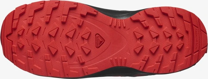 Salomon XA Pro V8 CSWP magnet/black/poppy red (Junior)