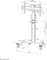 Neomounts FL50S-825BL1 Vorschaubild
