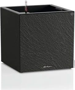 Lechuza Canto Slatestone low