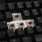 Ducky One RGB PBT schwarz, LEDs RGB, MX RGB BROWN, USB, DE Vorschaubild