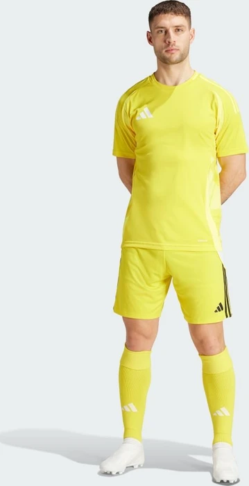 adidas Tiro 24 Shorts team yellow/black (Herren)