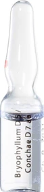 Weleda Bryophyllum D5/Conchae D7 Injektion Ampullen, 8 Stück
