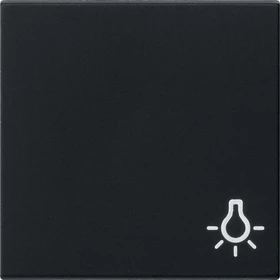 Gira Wippe mit Symbol Licht, schwarz matt
