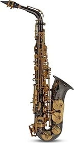 Roy Benson Eb-Alt Saxophon AS-202K anthrazit