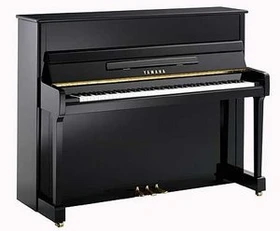 Yamaha P116