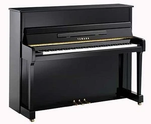 Yamaha P116