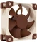 Noctua NF-A8 FLX, 80mm Vorschaubild