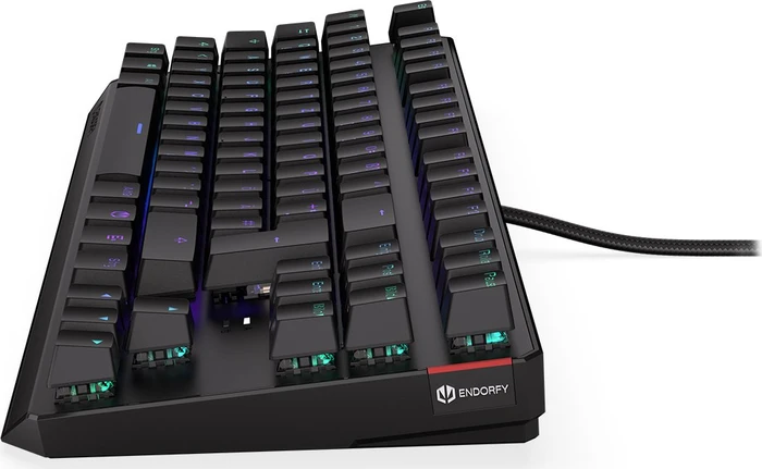 Endorfy Thock TKL, PBT, LEDs RGB, Kailh RED, USB, DE