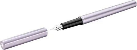 Pelikan Ineo Elements P6