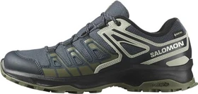 Salomon Extegra GTX blue nights/afalfa/martini olive (Herren)