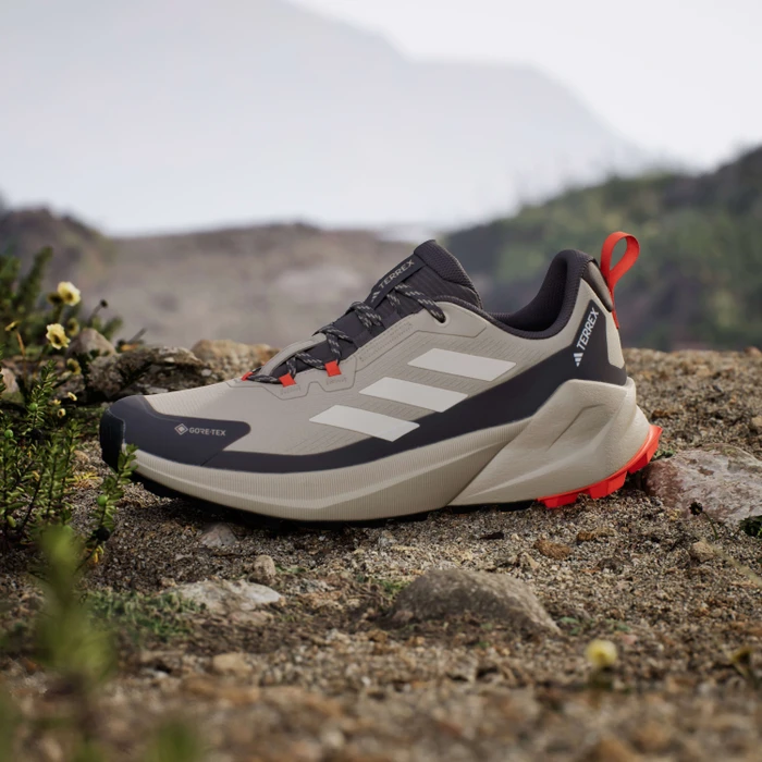 adidas Terrex Trailmaker 2.0 GTX wonder beige/wonder white/charcoal (Herren)