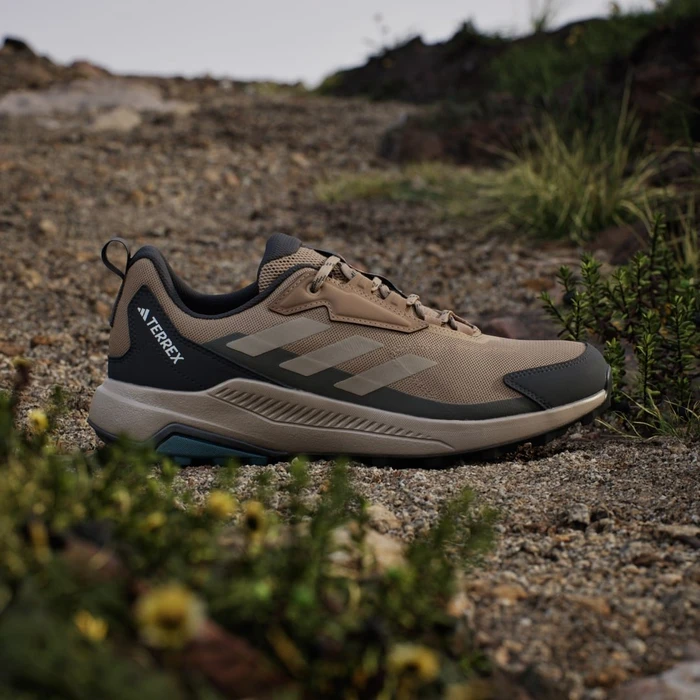 adidas Terrex Anylander cardboard/blanch cargo/shadow olive (Herren)