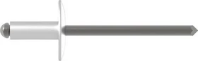 Gesipa A4 Edelstahl Großkopf Blindniete 4.8x20mm, 250 Stück