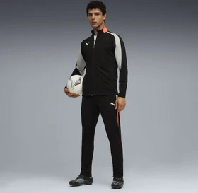 Puma individualLIGA Trainingsanzug puma black/puma white/flat light gray (Herren)
