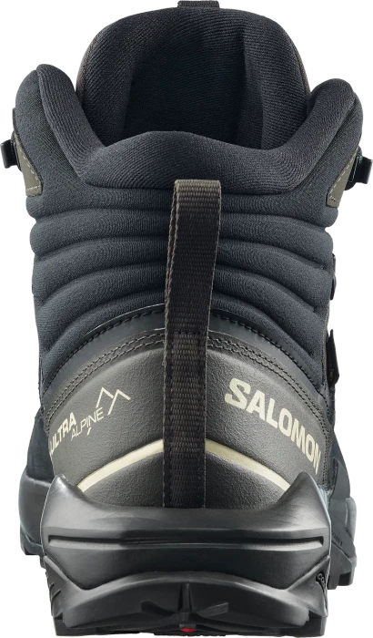 Salomon X Ultra Alpine Mid GTX black/peat/aspargus green (Herren)