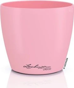 Lechuza Deco 21 magnolie