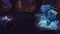 Orcs Must Die! - Game of the Year Edition (PC) Vorschaubild