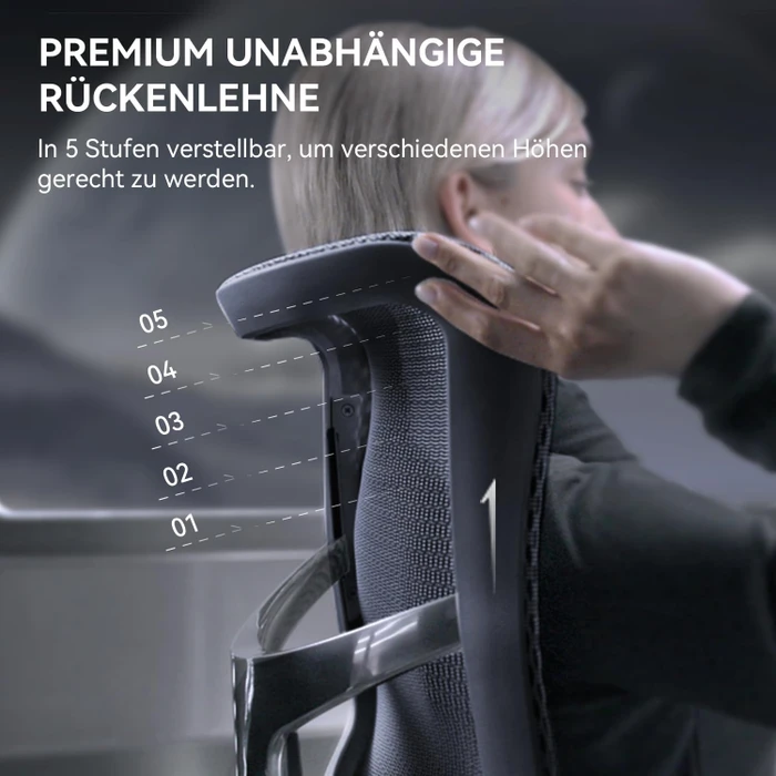 Sihoo Doro C300 Ergonomischer Bürostuhl, schwarz