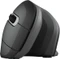 Trust Verro Wireless, USB Vorschaubild
