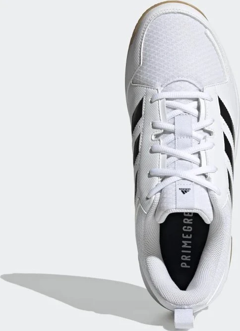 adidas Ligra 7 Indoor cloud white/core black (Herren)