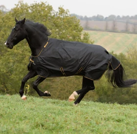 Kerbl Bucas Irish Turnout Light/50 Classic, Regendecke female, 1.45m, 50g, black/gold
