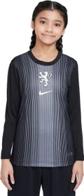 Nike UEFA EURO 2025 Niederlande Frauenteam Stadium Torwarttrikot (Junior)