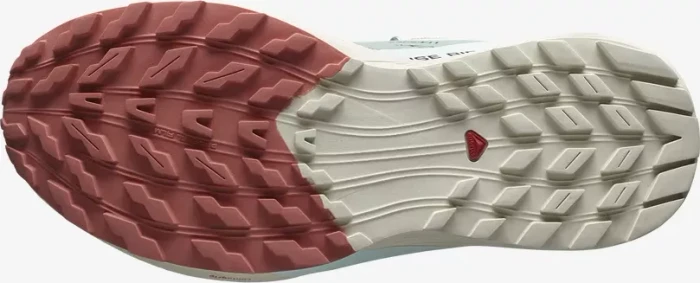 Salomon Sense Ride 5 lily pad/rainy day/bleached aqua (Herren)