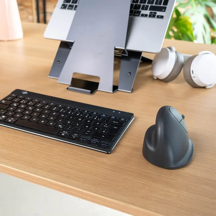 R-Go HE Basic Mouse Vertikale kabellose Maus mittel, grau, Bluetooth