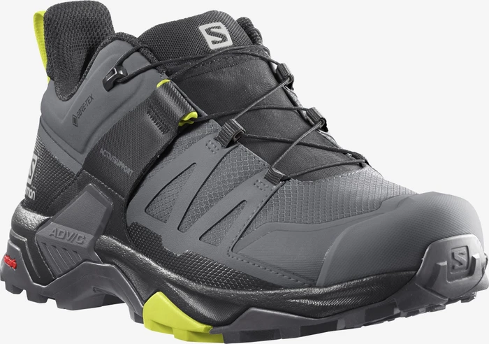 Salomon X Ultra 4 GTX quiet shade/black/evening primrose (Herren)