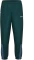hummel Tracksuit Trainingshose lang ponderosa/pine (Herren) Vorschaubild