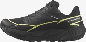 Salomon Thundercross GTX black/charlock (Damen)