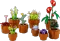 LEGO Botanicals - Mini Pflanzen Vorschaubild