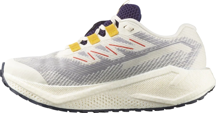 Salomon Aero Glide 3 GRVL GTX vanilla ice/astral aura/lemon (Damen)