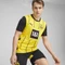 Puma BVB Borussia Dortmund 2024/2025 Heimtrikot (Herren) Vorschaubild