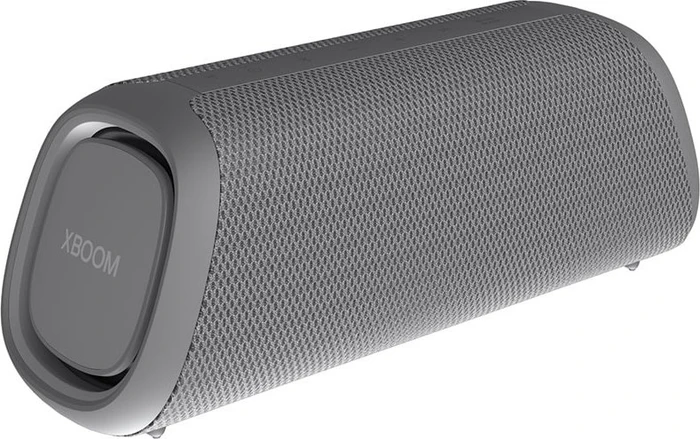 LG XBoom Go DXGQ7 grau
