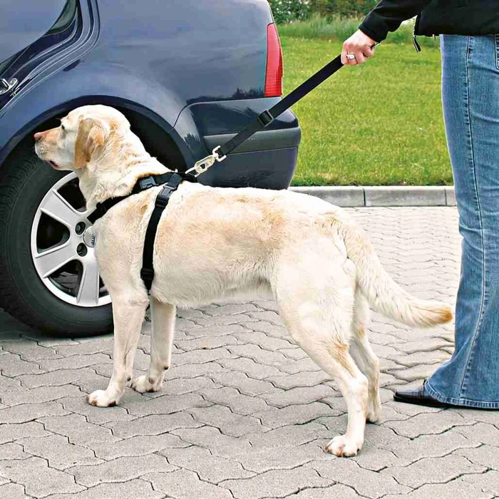 Trixie Auto-Geschirr M, schwarz