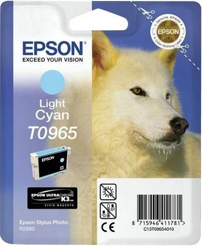 Epson Tinte T096