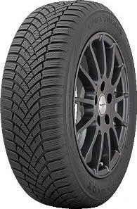 Toyo Observe EWS1
