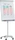 Franken Flipchart Pro Mobil, grau, 67x95cm (FC41)