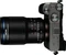 Laowa 90mm 2.8 2x Ultra Macro APO für Micro-Four-Thirds Vorschaubild