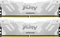 Kingston FURY Renegade DIMM DDR5 Vorschaubild