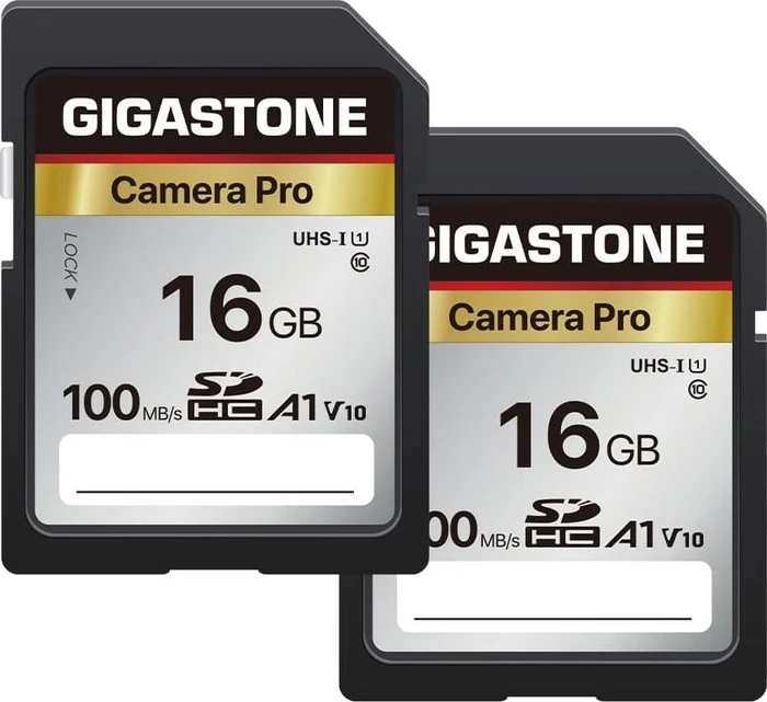 Gigastone Camera Pro R100 16GB, UHS-I U3, A1, Class 10, 2er-Pack