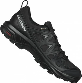 Salomon X Braze GTX schwarz (Herren)