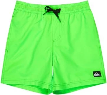 Quiksilver Everyday Volley 14" Badeshorts green gecko (Junior)