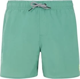 Protest Culture Badeshorts frosty green (Junior)