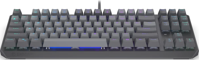 Endorfy Thock V2 TKL, PBT, grau, LEDs RGB, hot-swap, Endorfy RED, USB, US